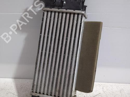 Intercooler FORD PUMA (J2K, CF7) 1.0 EcoBoost | BP38498650M30 - Image 6