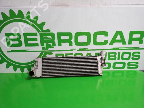 Used Intercooler Intercooler RENAULT SCÉNIC II (JM0/1_) [2003-2010] 31674174 31674174