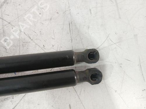 Tailgate lift support DACIA SANDERO II 1.5 dCi | BP31566490C138