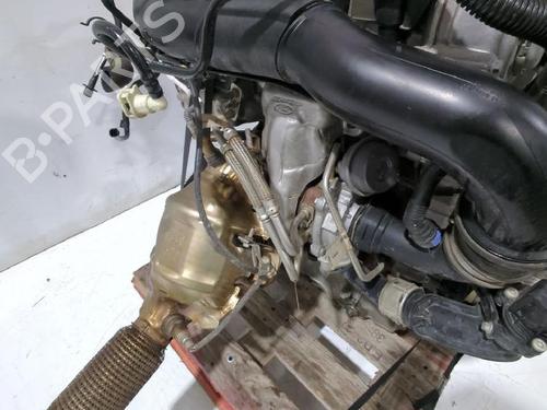 Engine FORD PUMA (J2K, CF7) 1.0 EcoBoost | BP32464763M1