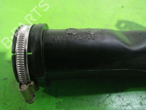 Pipe CITROËN XSARA (N1) | BP31676138M125