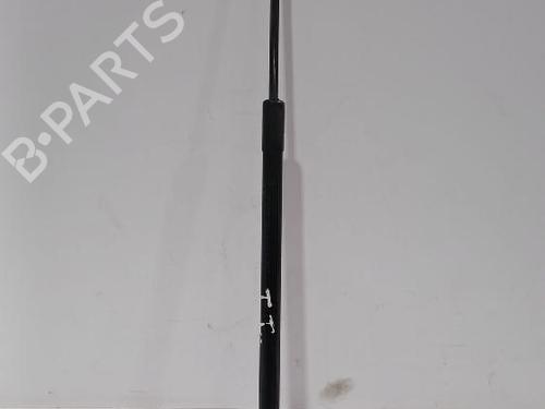 Used Tailgate lift support TOYOTA COROLLA Hatchback (_E21_, _EA1_, _EH1_) 1.8 VVTi Hybrid (ZWE219) (140 hp) 31567240