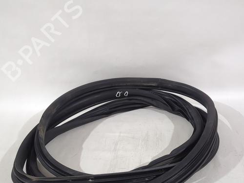 Borracha vedante da porta Borracha vedante da porta FIAT DOBLO Cargo (263_) 1.3 D Multijet (75 hp) 40040873 40040873