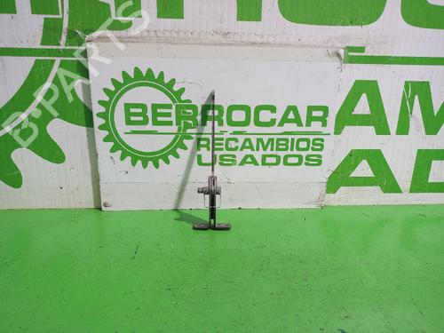 Used Hinge/Door check strap RENAULT KANGOO BE BOP (KW0/1_) 1.5 dCi 75 (75 hp) 31551928