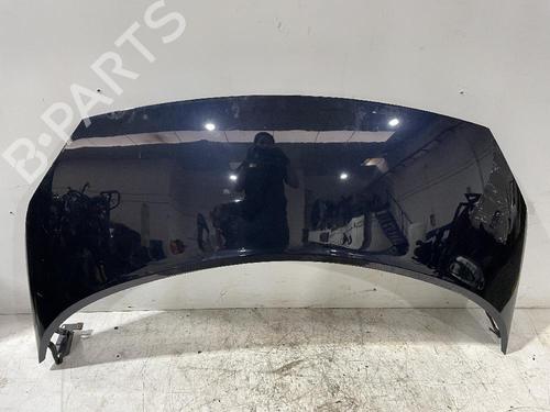 hood-renault-scenic-ii-jm01_-2003-2004-2005-2006-2007-2008-2009-2010-31677432 main image