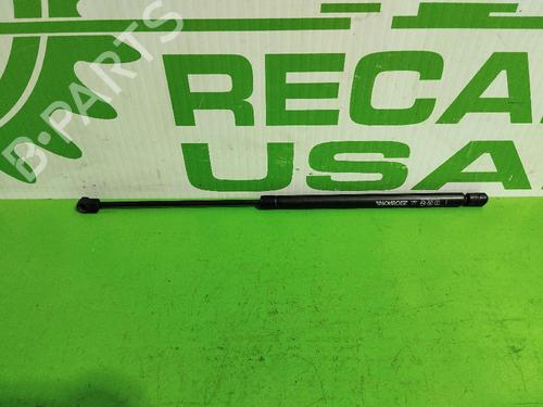 Used Tailgate lift support RENAULT MEGANE II Coupé-Cabriolet (EM0/1_) 1.9 dCi (120 hp) 31544216
