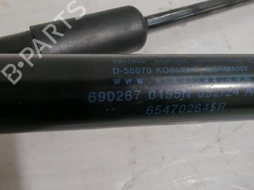 Hood lift support DACIA DUSTER (HM_) 1.0 TCe 90 (HMM6) | BP32462642C139 