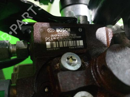 Injection pump CITROËN C4 Grand Picasso I (UA_)  | BP31676843M78 