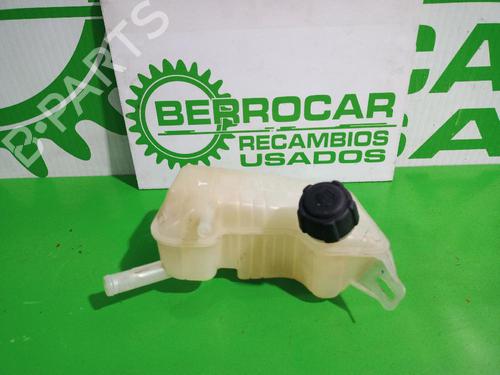 Ekpansionstank Ekpansionstank RENAULT GRAND SCÉNIC II (JM0/1_) [2004-2009] 31674209 31674209