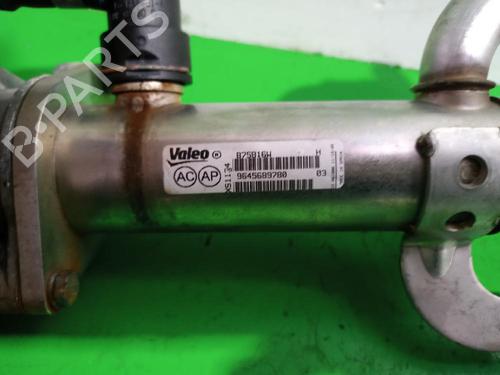 Egr FORD S-MAX (WA6) 2.0 TDCi | BP31551231M69