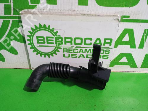 Pipe CITROËN C3 II (SC_) 1.2 VTi 82 | BP31551401M125 - Image 2