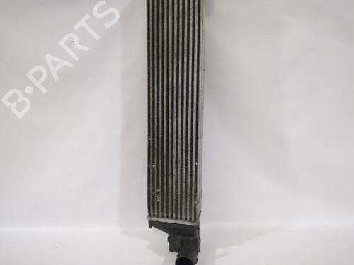 Intercooler RENAULT ESPACE IV (JK0/1_) 2.0 dCi (JK01, JK02, JK1J, JK1K, JK1H) | BP38498651M30 - Image 6