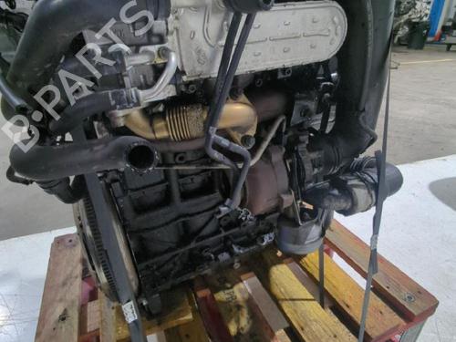 Engine VW GOLF V (1K1) 2.0 TDI | BP33810525M1 - Image 9