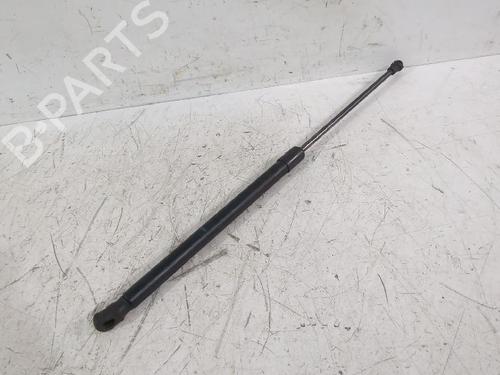 hood-lift-support-vw-polo-iv-9n_-9a_-2001-2002-2003-2004-2005-2006-2007-2008-2009-2010-2011-2012-2013-2014-32490186 main image