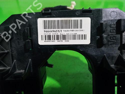 Switch CITROËN C4 Grand Picasso I (UA_)  | BP31676841I30 