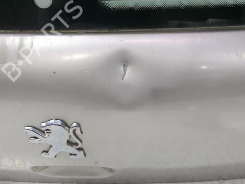 Tailgate PEUGEOT 307 (3A/C) 1.4 16V | BP32465882C6 