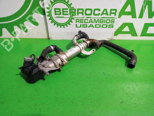 Egr FORD S-MAX (WA6) 2.0 TDCi | BP31551231M69