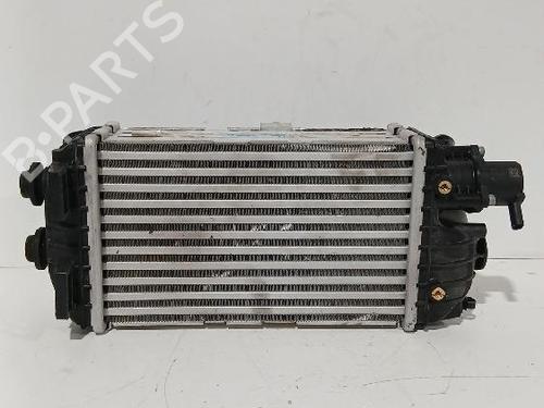 Used Intercooler Intercooler HYUNDAI i20 III (BC3, BI3) 1.0 T-GDI (101 hp) 31567189 31567189