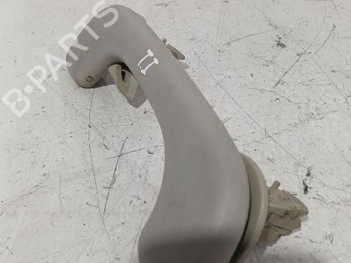Interior roof handle RENAULT MEGANE II (BM0/1_, CM0/1_) 1.9 dCi (BM0G, CM0G) | BP32465805I35 