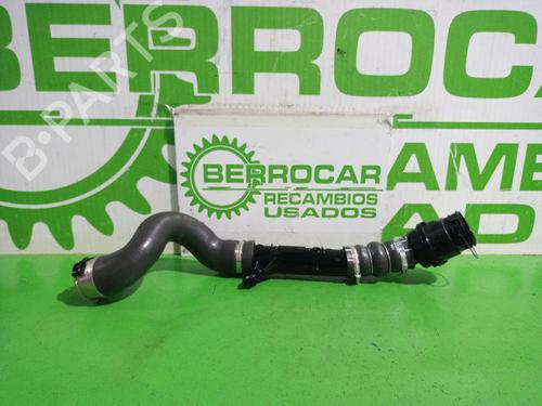 Used Pipe RENAULT KANGOO BE BOP (KW0/1_) 1.5 dCi 75 (75 hp) 31551939