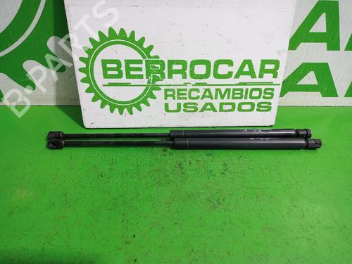 tailgate-lift-support-peugeot-307-break-3e-2002-2003-2004-2005-2006-2007-2008-2009-31546766 main image