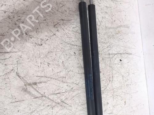 tailgate-lift-support-ford-focus-i-daw-dbw-1998-1999-2000-2001-2002-2003-2004-2005-2006-2007-2008-2009-31566145 main image