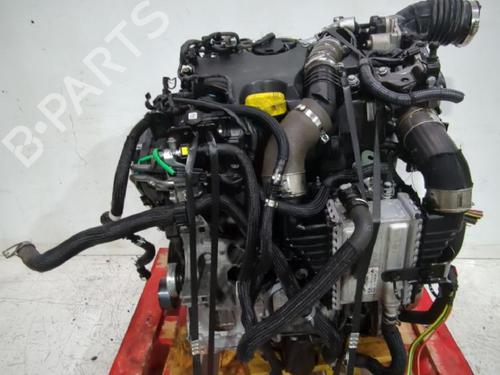 Used Engine NISSAN QASHQAI II (J11, J11_) 1.5 dCi (116 hp) 31566869
