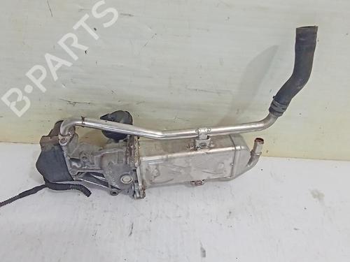Used Egr SKODA FABIA II Combi (545) 1.6 TDI (75 hp) 31559091