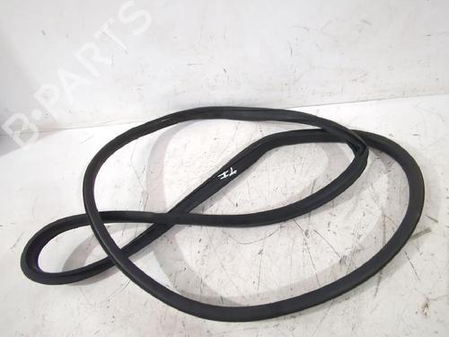 Used Rubber door seal Rubber door seal NISSAN JUKE (F15) 1.5 dCi (110 hp) 32489351 32489351