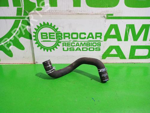Used Pipe Pipe CITROËN C3 II (SC_) 1.2 VTi 82 (82 hp) 31551500 31551500