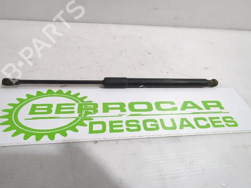 tailgate-lift-support-dacia-duster-hm_-2017-31567835 main image