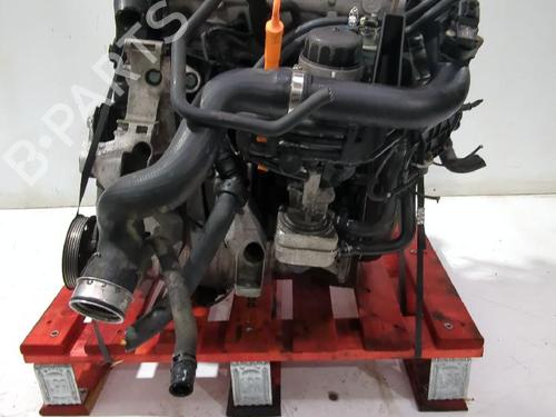 Used Engine VW PASSAT B5.5 (3B3) 1.9 TDI (130 hp) 32464336