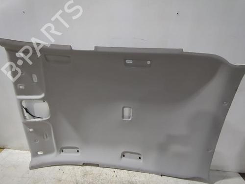 Cielo abitacolo HYUNDAI i20 III (BC3, BI3) 1.0 T-GDI (101 hp) 31567186