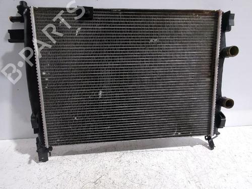Used Water radiator NISSAN QASHQAI I (J10, NJ10) 1.5 dCi (110 hp) 32489422