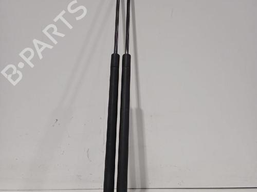 Tailgate lift support FORD FOCUS C-MAX (DM2) 2.0 TDCi | BP32464584C138