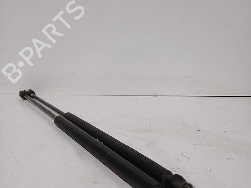 Tailgate lift support VW GOLF V (1K1) 2.0 FSI | BP32463310C138