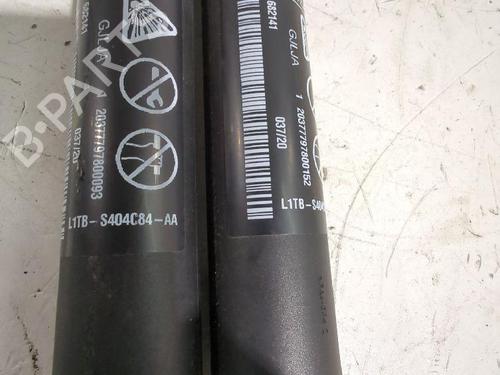 Tailgate lift support FORD PUMA (J2K, CF7) 1.0 EcoBoost | BP32464952C138 