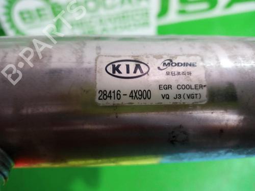 Egr KIA CARNIVAL I (UP, FL) | BP31675080M69