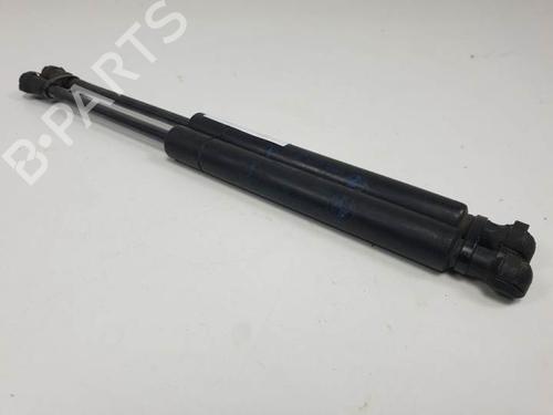 Used Hood lift support BMW 3 (E46) 320 d (150 hp) 13956172