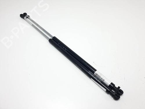 tailgate-lift-support-hyundai-santa-fe-i-sm-2000-2001-2002-2003-2004-2005-2006-24914436 main image