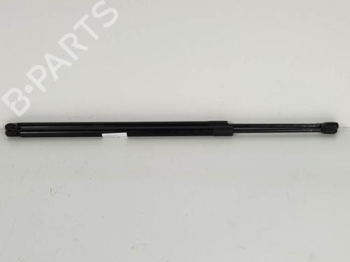 Used Tailgate lift support Tailgate lift support FORD KUGA II (DM2) 2.0 TDCi (150 hp) 13953031 13953031