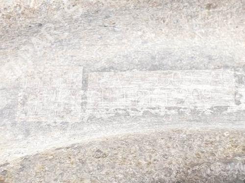 Right rear suspension arm SEAT LEON (5F1)  | BP18653439M15 