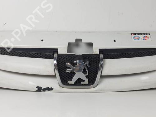 Used Grille Grille PEUGEOT PARTNER Box Body/MPV (5_, G_) 1.9 D (69 hp) 27885110 27885110
