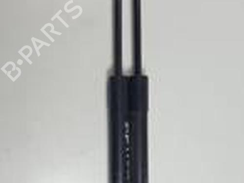 Used Tailgate lift support DACIA SANDERO II 1.0 SCe 75 (B8JC, B8JD, B8NC) (73 hp) 30279029