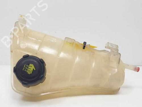 Ekpansionstank Ekpansionstank RENAULT KANGOO / GRAND KANGOO II (KW0/1_) 1.5 dCi 85 (KW0K, KW0L, KW0B) (86 hp) 13652005 13652005