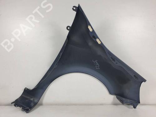 Left front fenders RENAULT MODUS / GRAND MODUS (F/JP0_) 1.5 dCi 90 | BP29875164C41