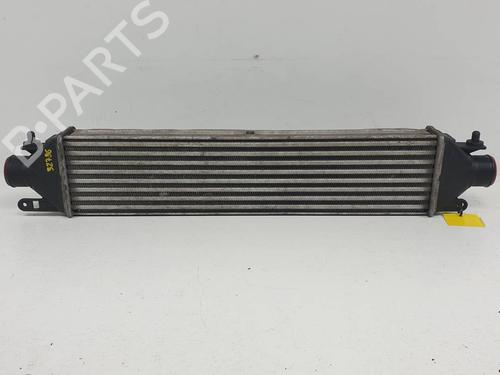 Intercooler Intercooler FIAT DOBLO Cargo (263_) 1.3 D Multijet (90 hp) 34514578 34514578
