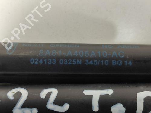 Tailgate lift support FORD FIESTA VI (CB1, CCN) 1.4 TDCi | BP13955170C138 