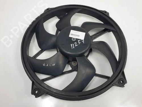 Used Radiator fan Radiator fan PEUGEOT 607 (9D, 9U) [2000-2026] 12446333 12446333