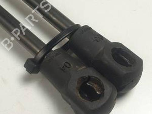 Gassdemper Bakluke FORD FOCUS II (DA_, HCP, DP) 1.8 TDCi | BP30919187C138